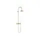 DORNBRACHT-Shower-Pipe-mit-Brausebatterie-TARA-26632892-220-mm-Messing-gebuerstet-23kt-Gold-26632892-28 gallery number 1
